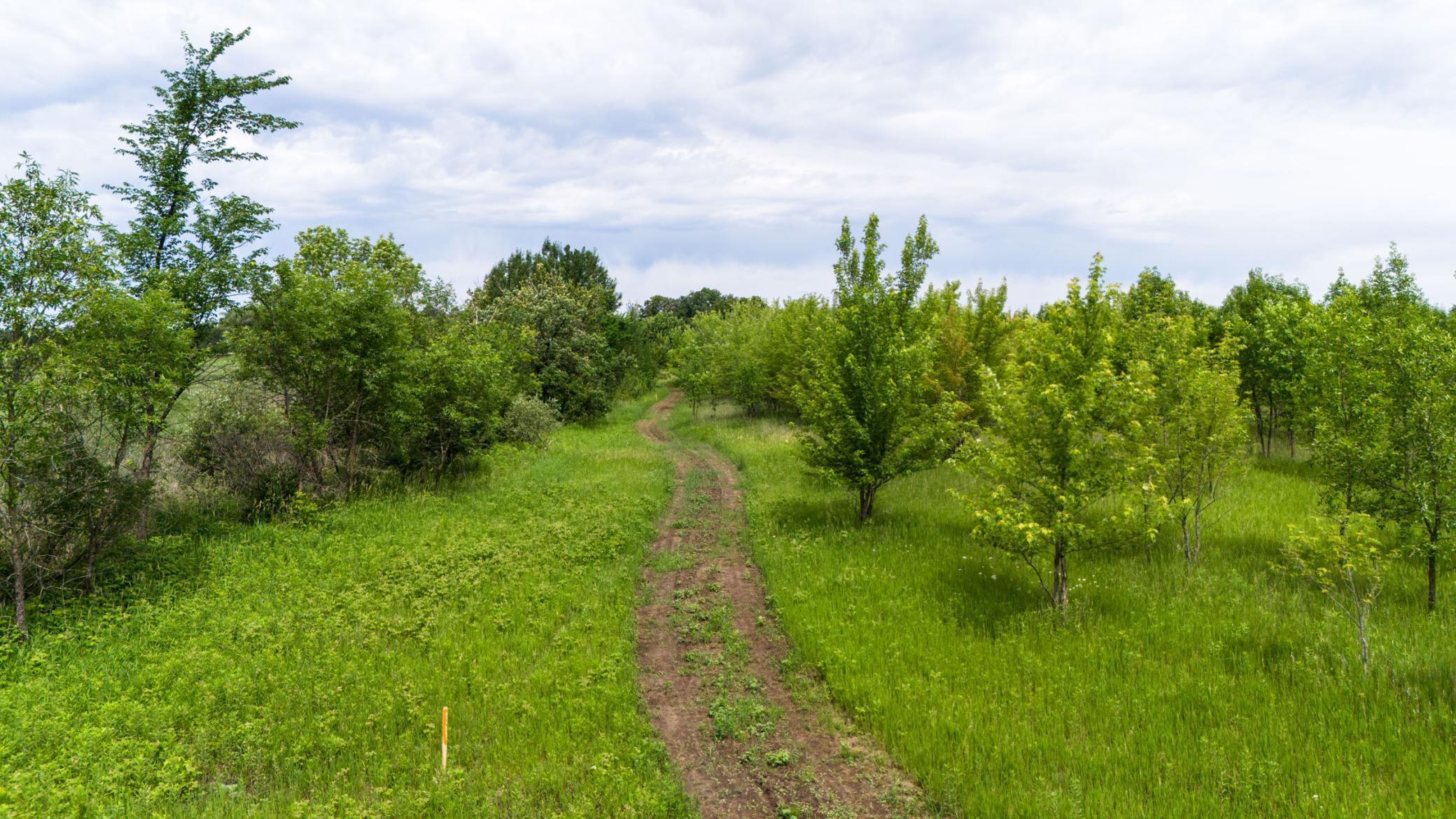 Lot 2 Rutten Lane Northeast Carlos, MN 56319 - Photo 8 of 17