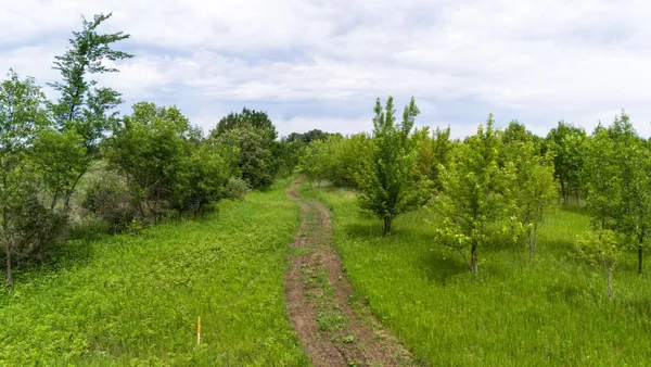 $130,000 | Lot 2 Rutten Lane Northeast, Carlos, MN 56319