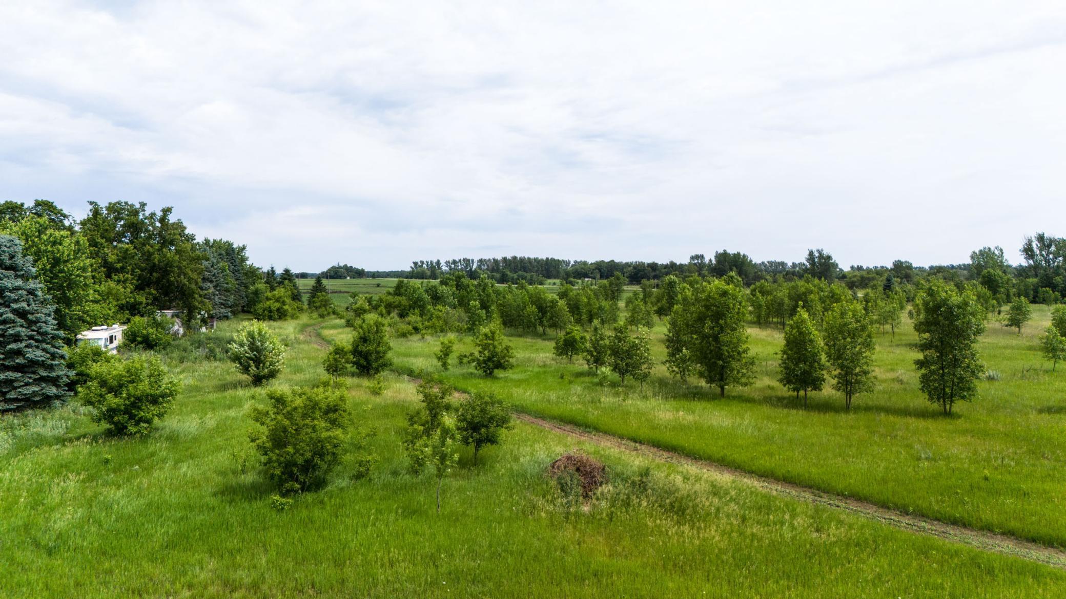 Lot 2 Rutten Lane Northeast Carlos, MN 56319 - Photo 10 of 17