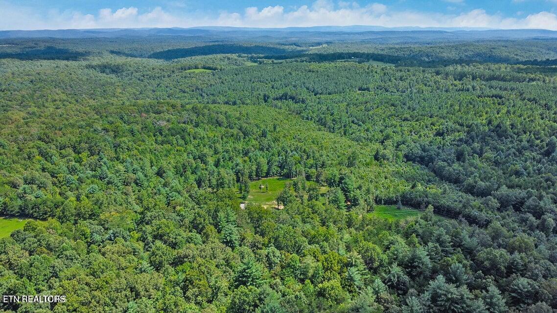 10.77 Acres Drive Deer Lodge, TN 37726 - Photo 16 of 19 20250821204900485565000000-o