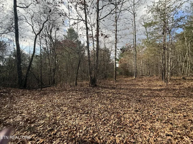 $115,000 | 10.77 Acres - Valerie Drive, Deer Lodge, TN 37726