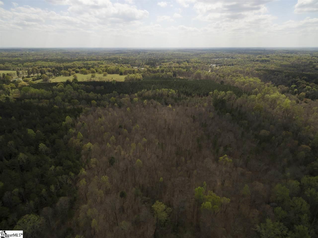 0 Jenkins Bridge Road Fountain Inn, SC 29644 - Photo 12 of 13 Gallery Image 12