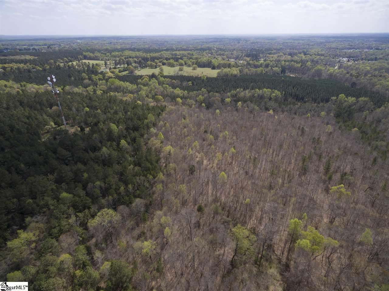 0 Jenkins Bridge Road Fountain Inn, SC 29644 - Photo 13 of 13 Gallery Image 13