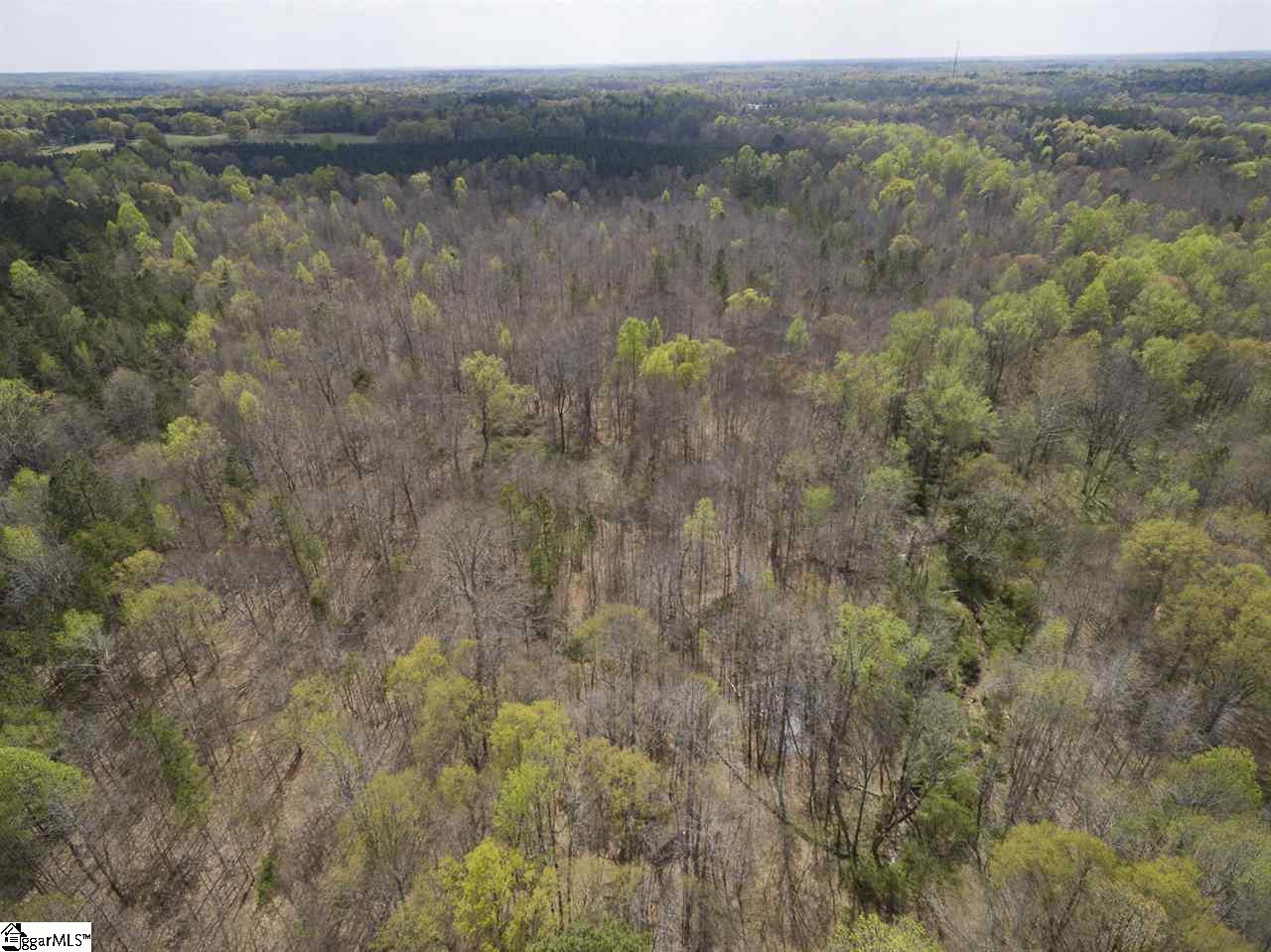 0 Jenkins Bridge Road Fountain Inn, SC 29644 - Photo 8 of 13 Gallery Image 8