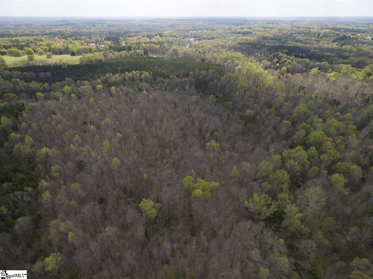 0 Jenkins Bridge Road Fountain Inn, SC 29644 - Photo 10 of 13 Gallery Image 10