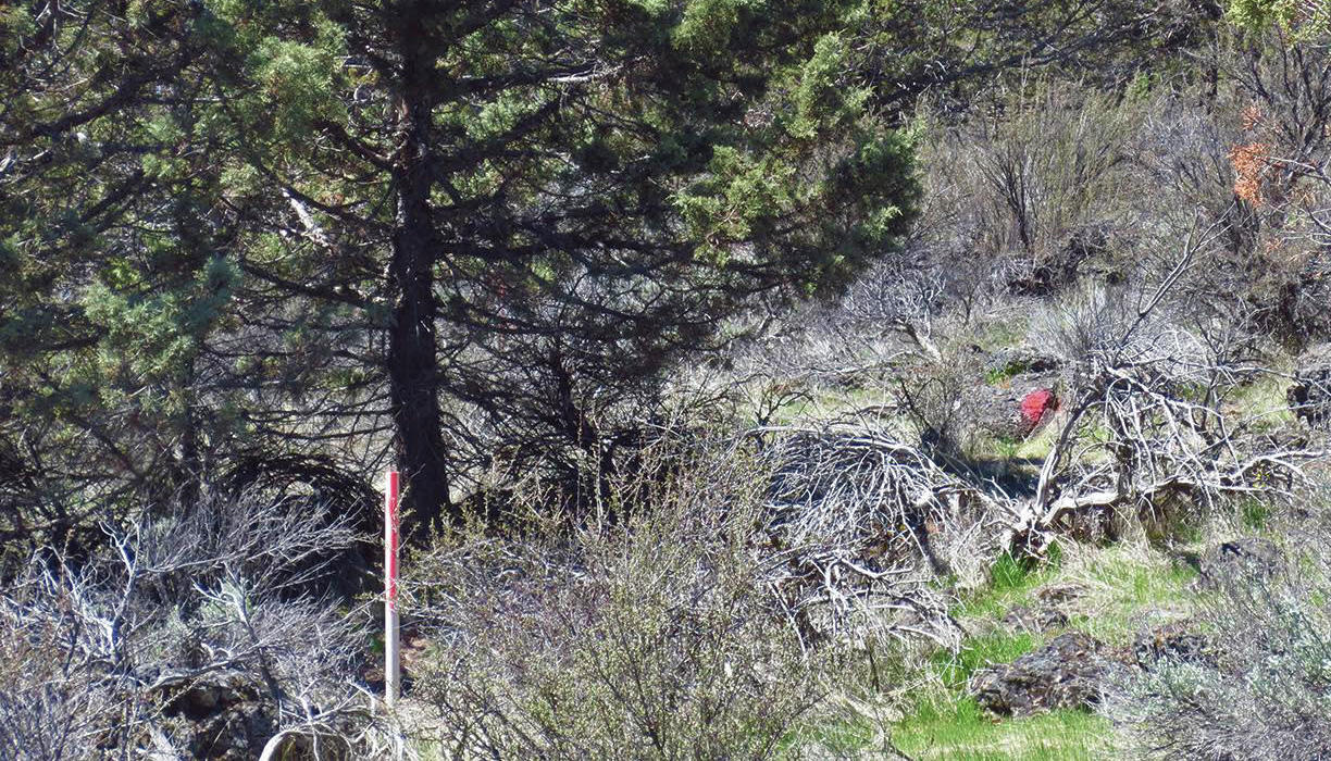 Lot 1 Drews Ranch Road Chiloquin, OR 97624 - Photo 7 of 8 em 1000