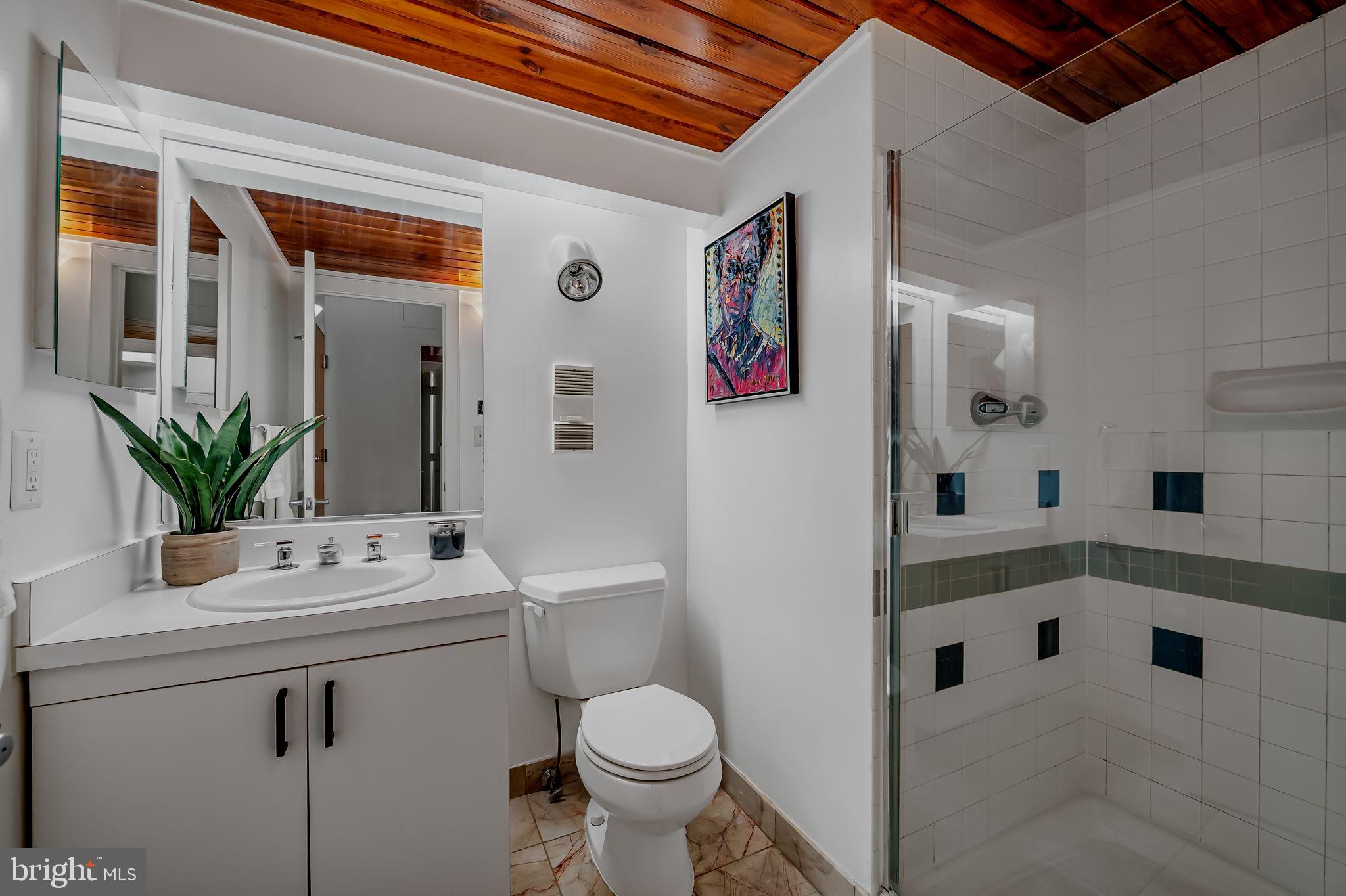 2901 Boston Street, Unit 204 Baltimore, MD 21224 - Photo 24 of 60 a bathroom with a sink a toilet and shower