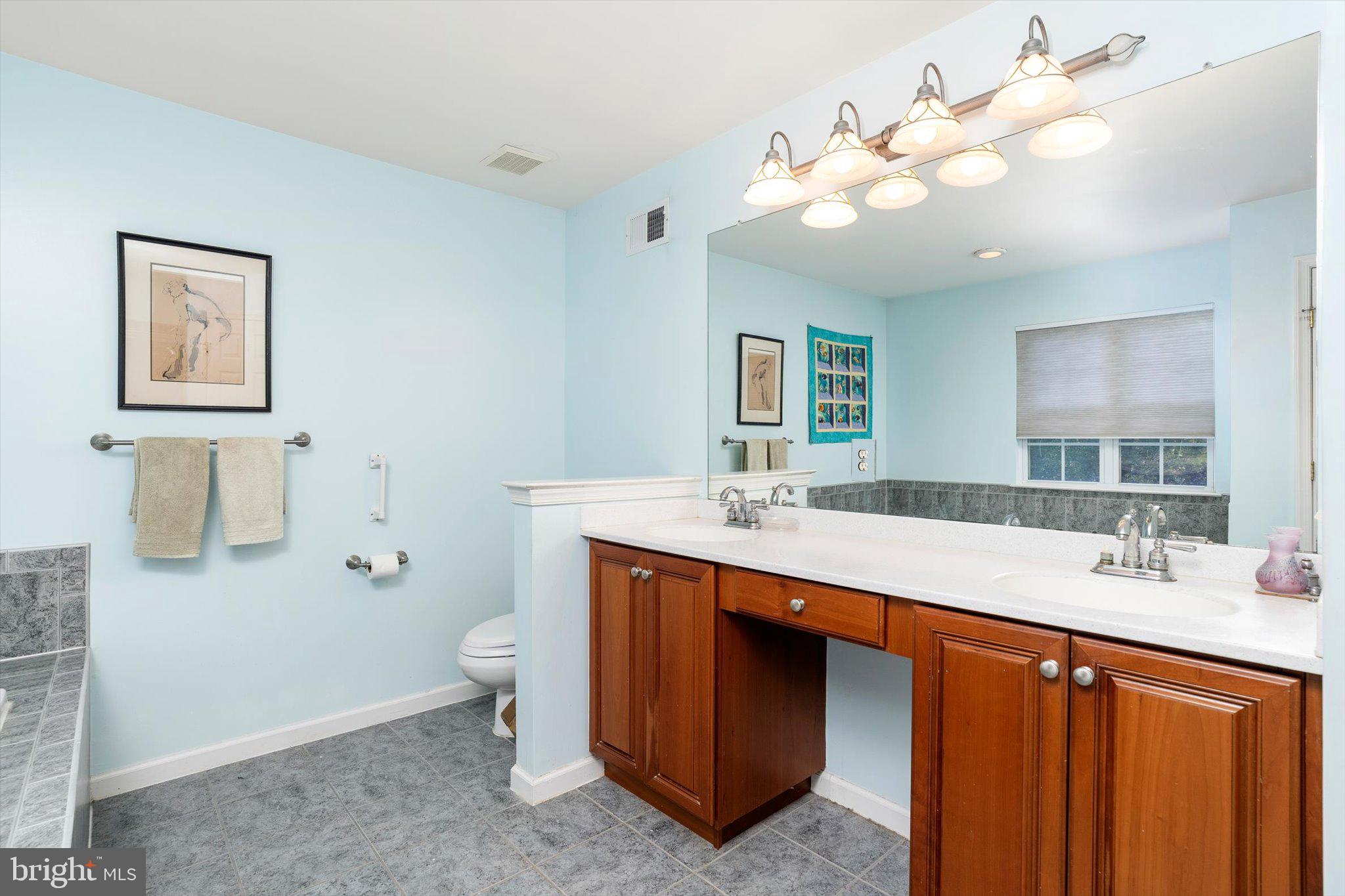 100 Jackson Avenue Princeton, NJ 08540 - Photo 20 of 33 a bathroom with a sink vanity and a mirror