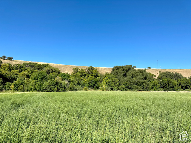 5025 South Hollow Road, Unit 47 Logan, UT 84321 - Photo 2 of 7 View of the lush green landscape of the property