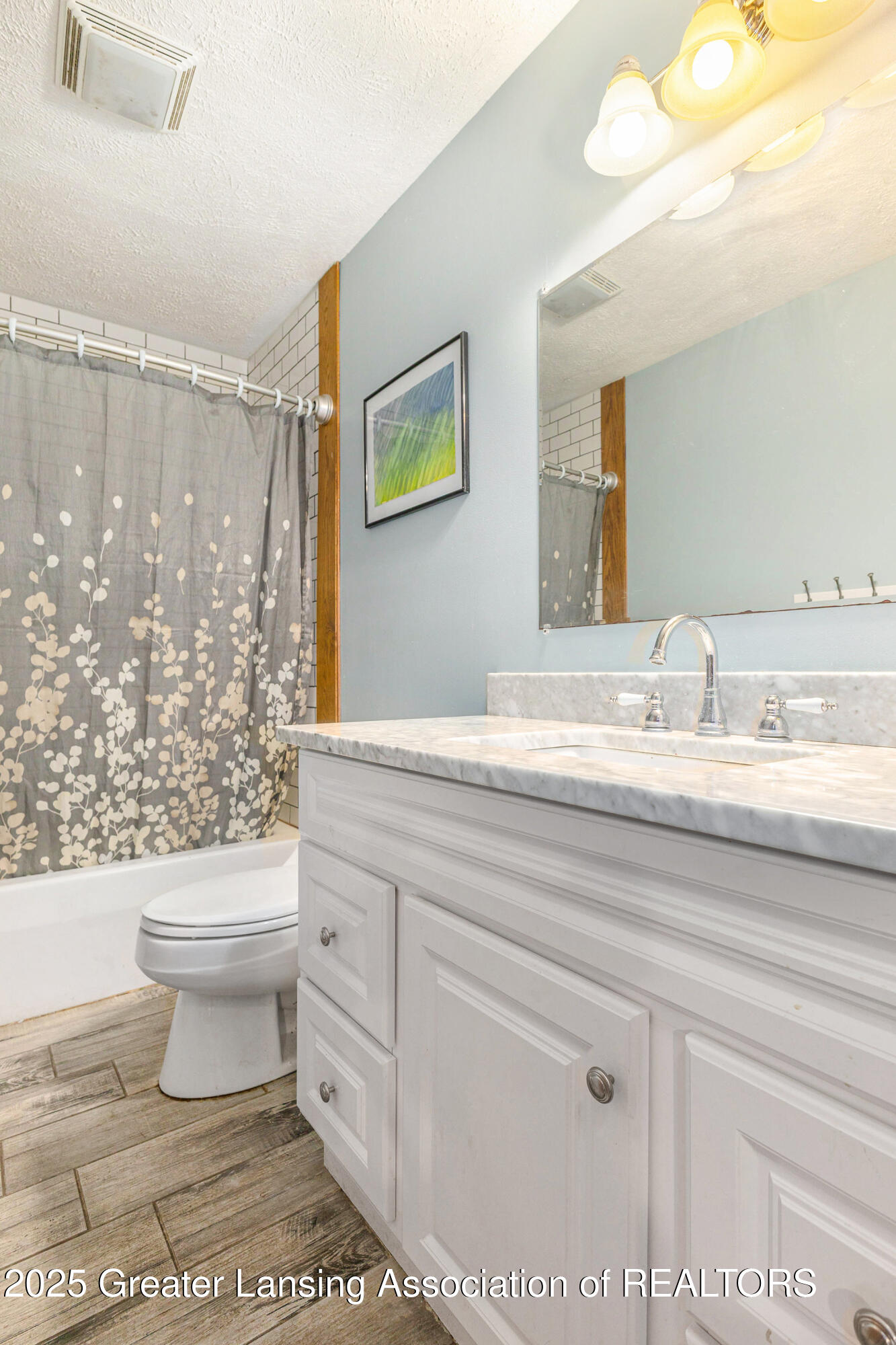 6494 Zimmer Road Williamston, MI 48895 - Photo 12 of 37 Main Floor Bathroom