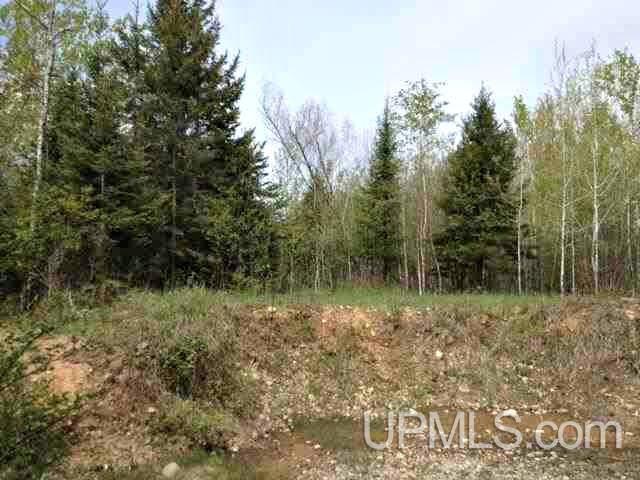 Tbd Co Rd 426, Unit LOT 3 Felch, MI 49831 - Photo 1 of 1
