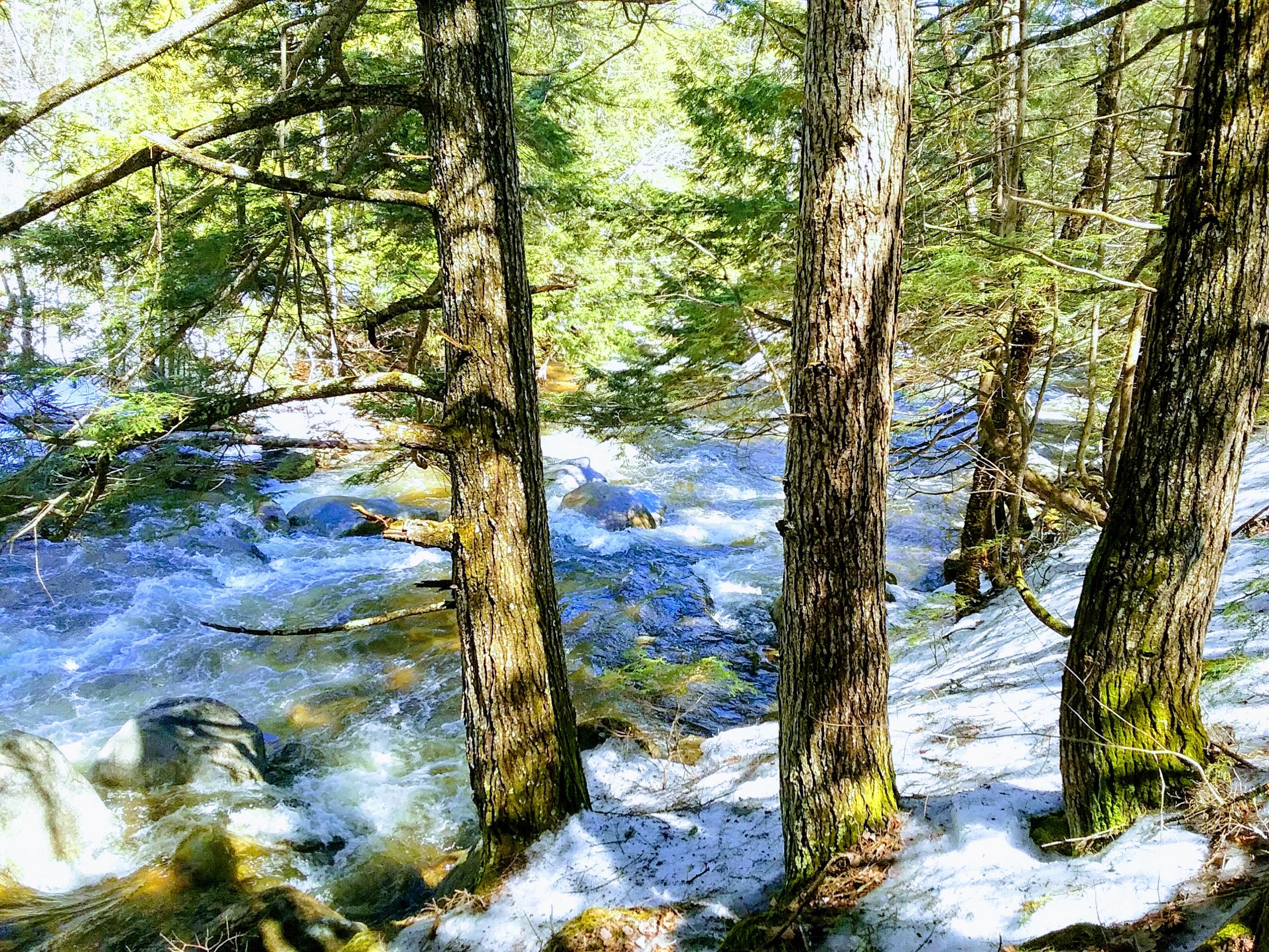 R11-7b Dustin Road Avon, ME 04966 - Photo 18 of 22 Stream 1
