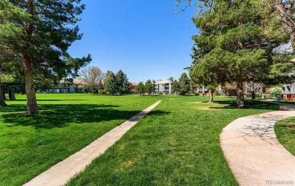 a view of a park with large trees