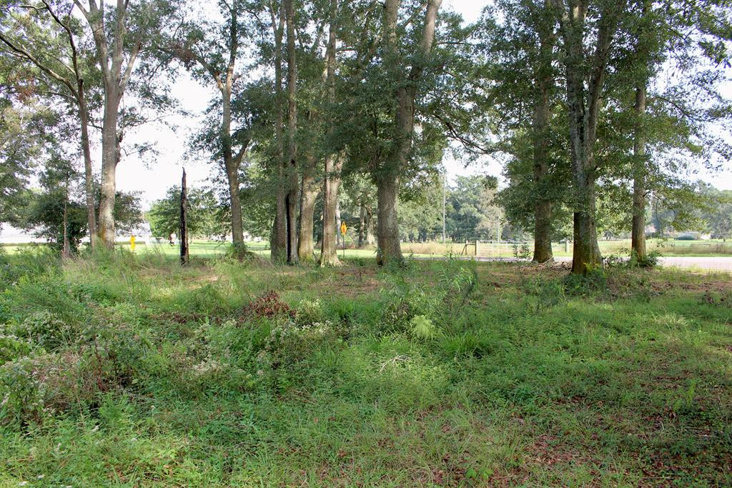 0 Oral Church Road Sumrall, MS 39482 - Photo 1 of 13 Main View