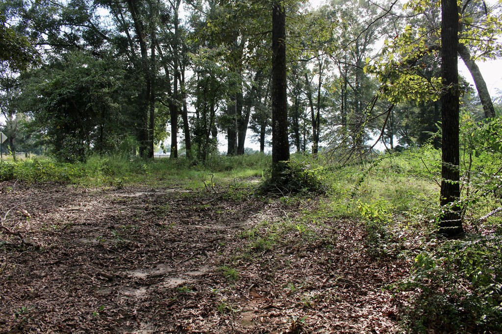 0 Oral Church Road Sumrall, MS 39482 - Photo 11 of 13 Photo 11