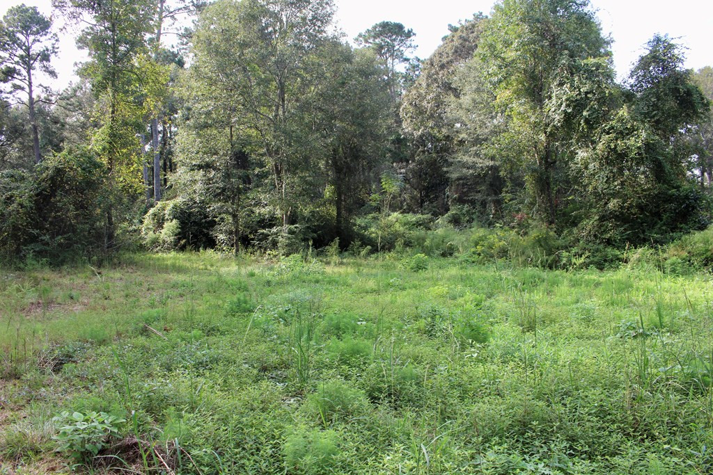 0 Oral Church Road Sumrall, MS 39482 - Photo 3 of 13 Photo 3