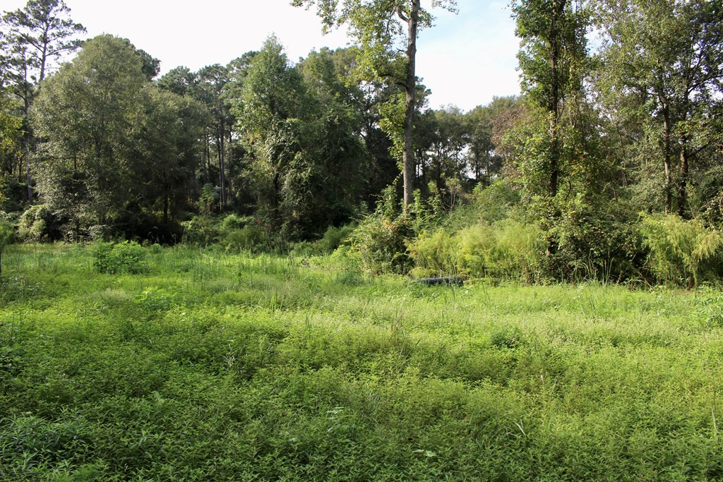 0 Oral Church Road Sumrall, MS 39482 - Photo 5 of 13 Photo 5