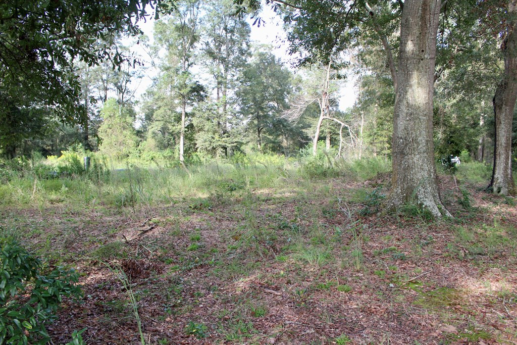 0 Oral Church Road Sumrall, MS 39482 - Photo 6 of 13 Photo 6