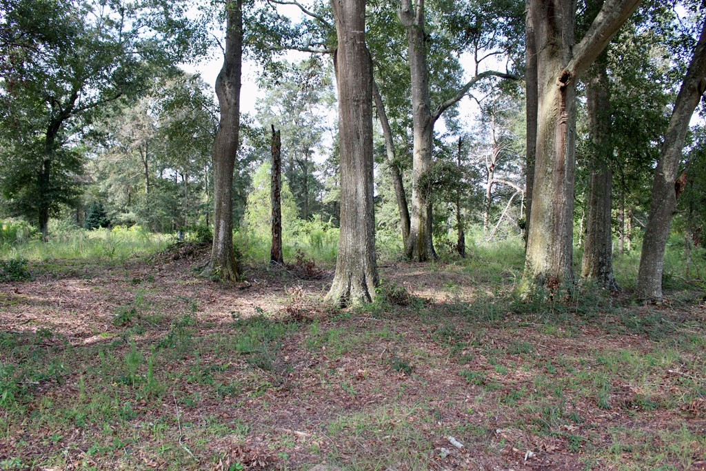 0 Oral Church Road Sumrall, MS 39482 - Photo 7 of 13 Photo 7