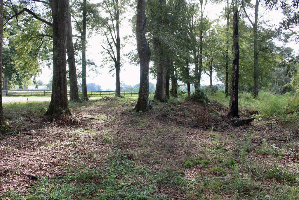 0 Oral Church Road Sumrall, MS 39482 - Photo 8 of 13 Photo 8
