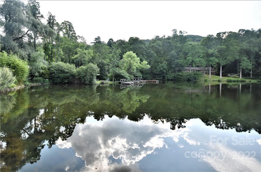 11 Echo Lake Drive Fairview, NC 28730 - Photo 9 of 48 a view of a lake in middle of forest