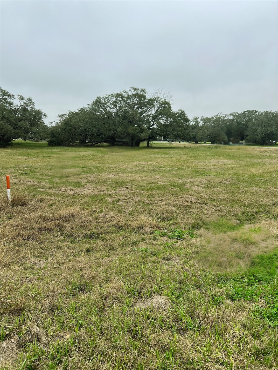103 Vintage Oaks Court Angleton, TX 77515 - Photo 2 of 6 a view of a lake view