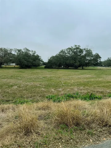 a view of a trees and outdoor space