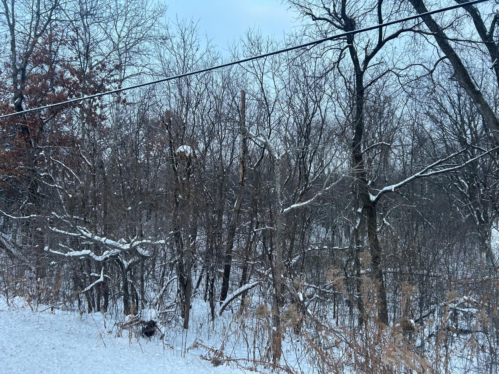 Tbd Mcmenemy Street St. Paul, MN 55127 - Photo 4 of 10