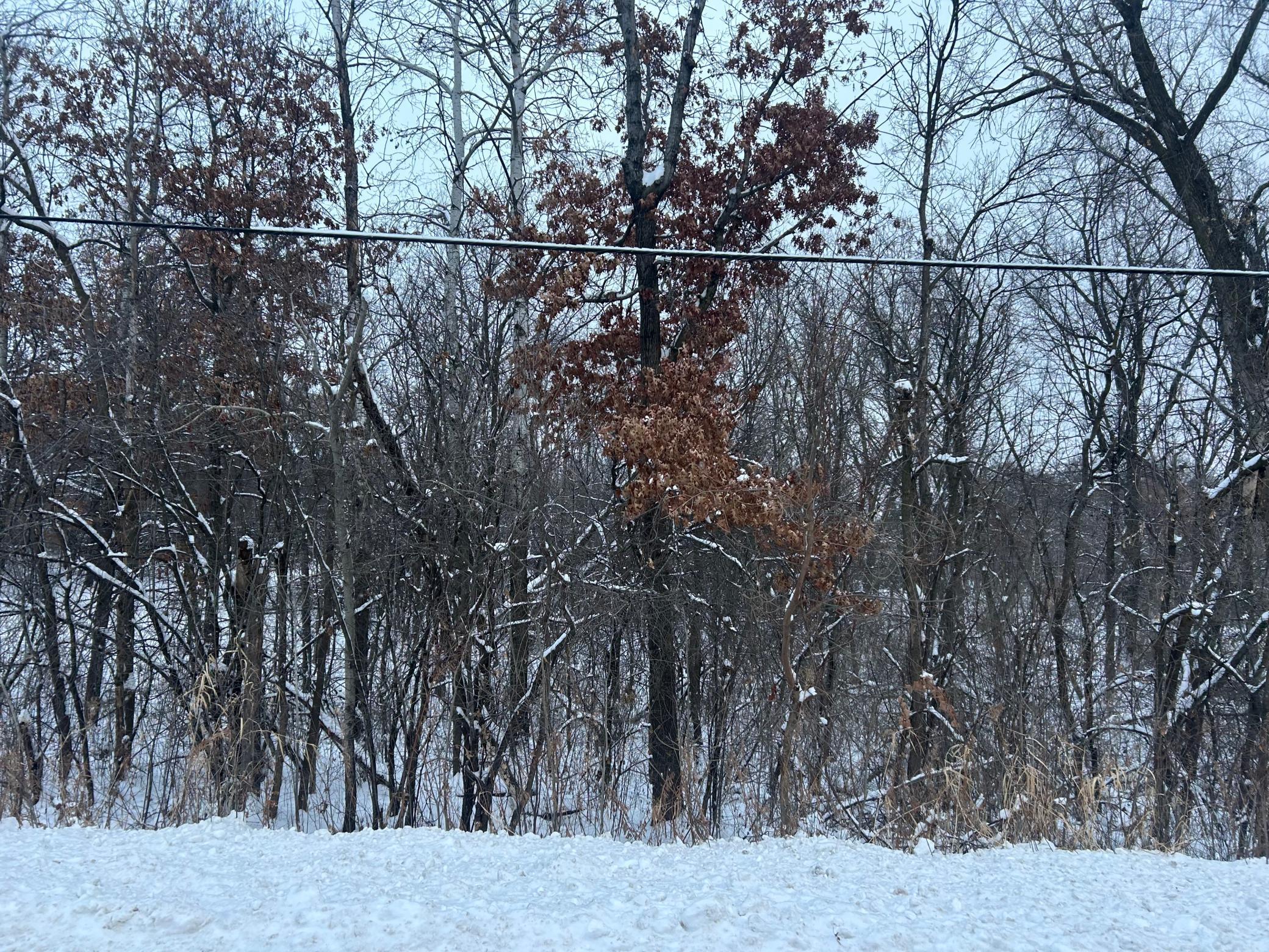 Tbd Mcmenemy Street St. Paul, MN 55127 - Photo 5 of 10