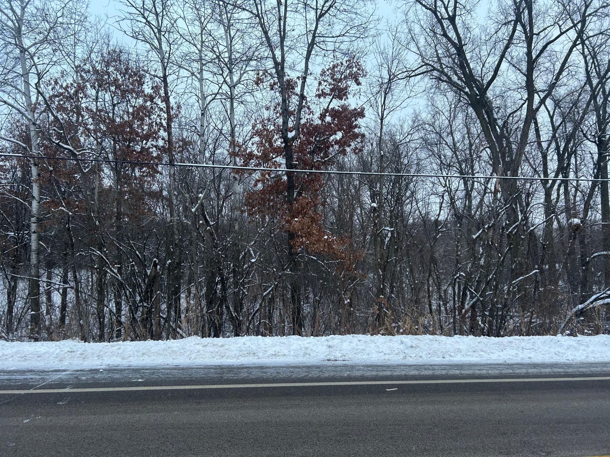 Tbd Mcmenemy Street St. Paul, MN 55127 - Photo 6 of 10