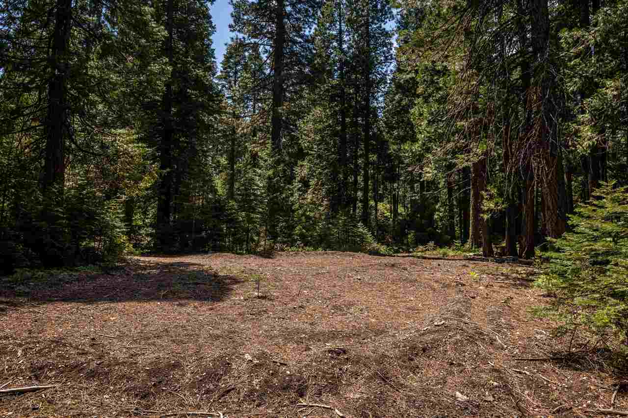 1012 Davis Place Road Mount Shasta, CA 96067 - Photo 20 of 26 Gallery Image 20