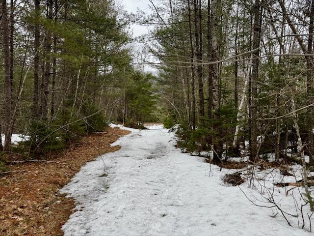 So001 So001 Plan1 Road New Portland, ME 04961 - Photo 2 of 7 IMG_2264
