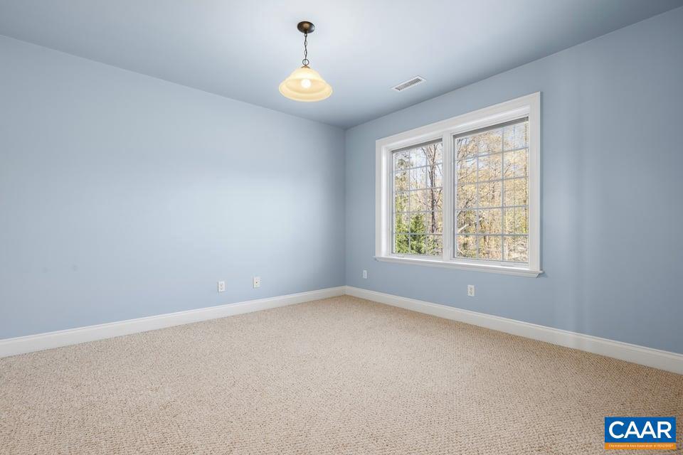 3627 Hardware Road Scottsville, VA 24590 - Photo 48 of 74