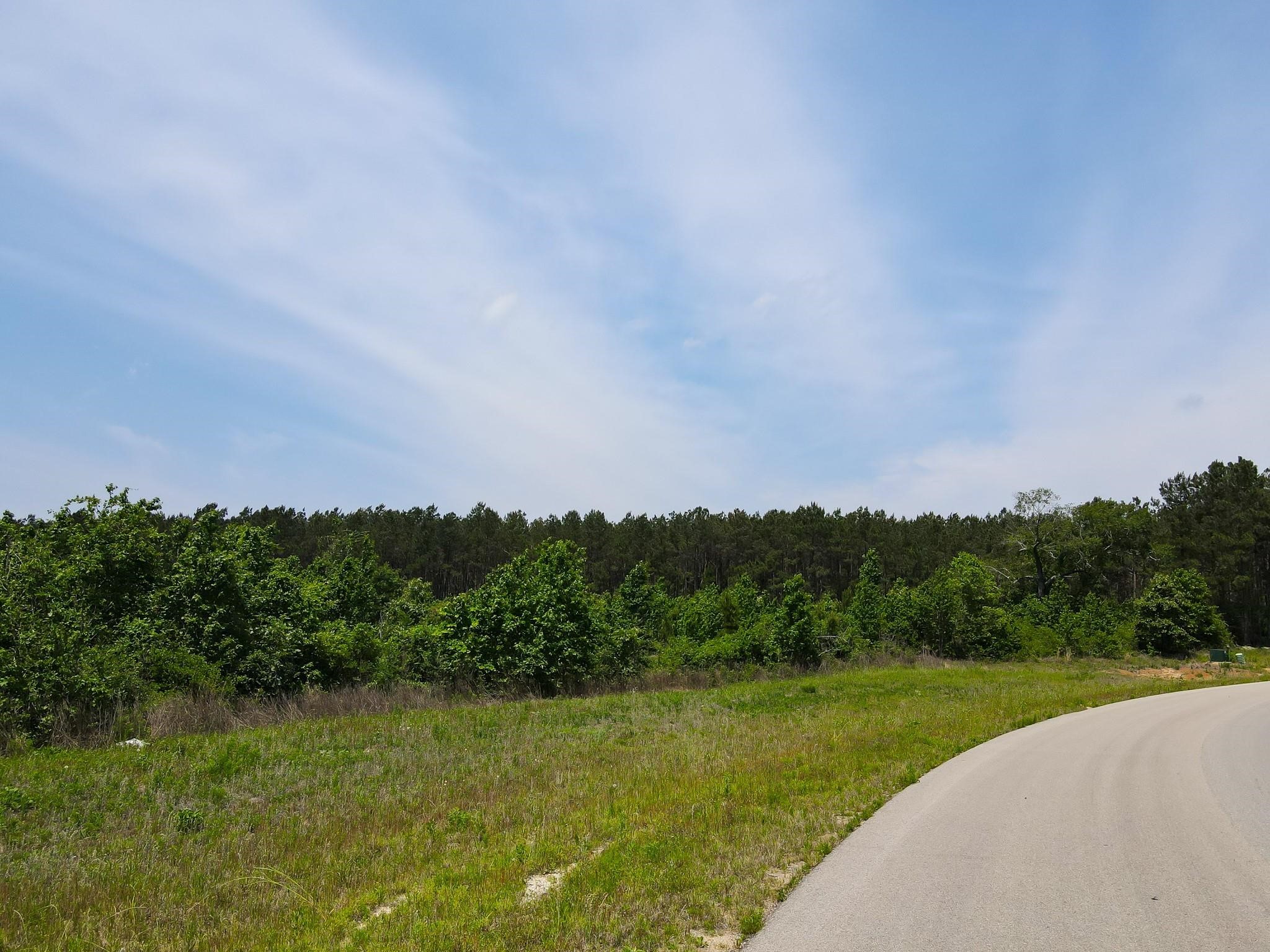 16089 Forest Mill Road Willis, TX 77378 - Photo 5 of 12