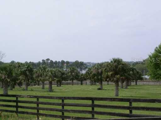 Burhans Road Umatilla, FL 32784 - Photo 1 of 1 a view of a grassy field with trees