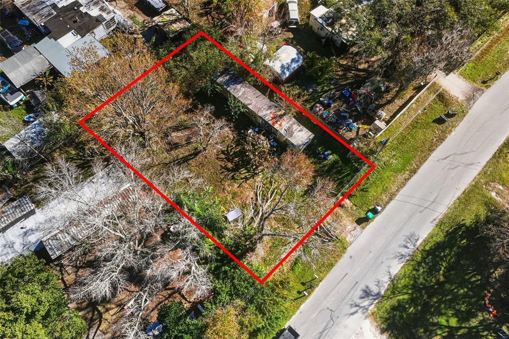 351 Exeter Street Orlando, FL 32820 - Photo 19 of 20 a park with lots of trees
