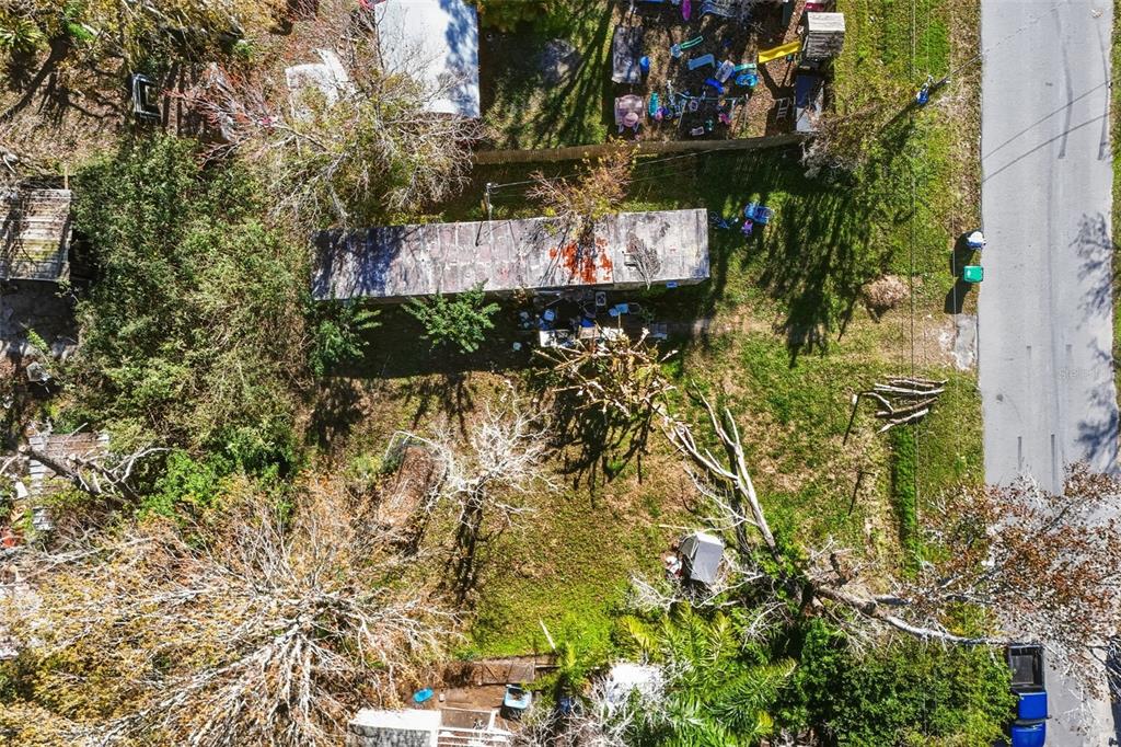 351 Exeter Street Orlando, FL 32820 - Photo 6 of 20 a view of a bunch of plants and trees