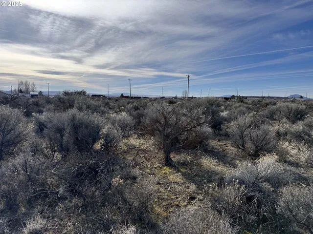 a view of a bunch of trees and bushes