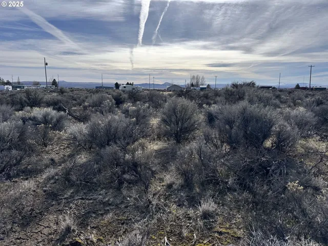 a view of a big yard
