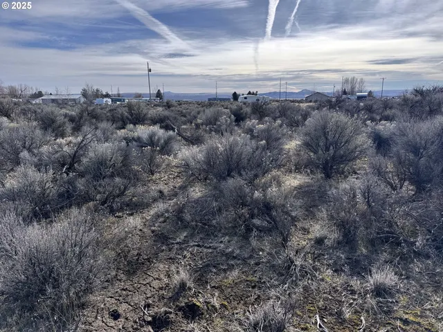 a view of a bunch of trees in a field