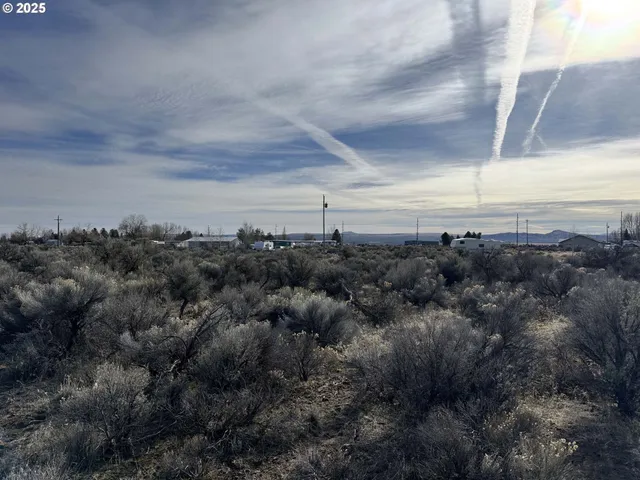 a view of a bunch of trees and bushes