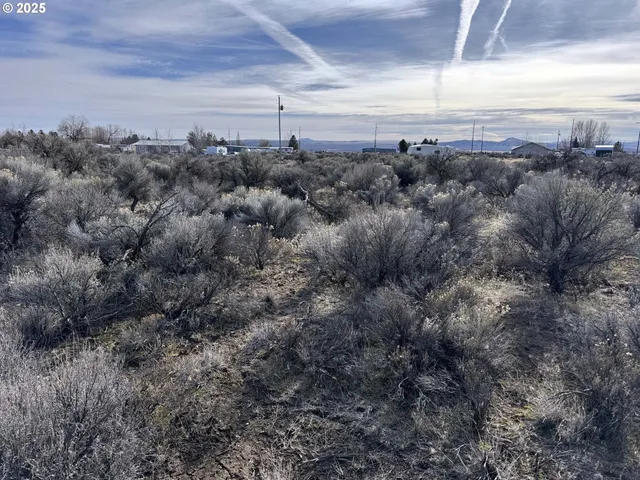 a view of a sky from a yard