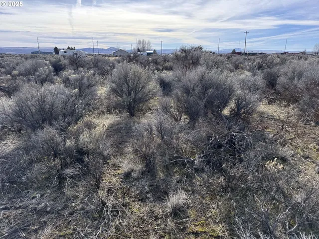a view of a dry yard