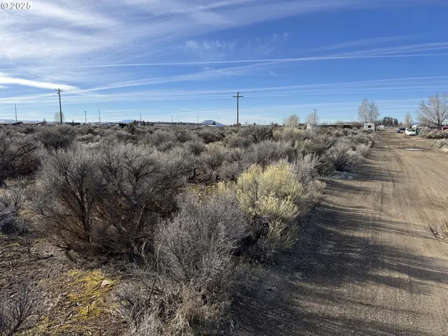a view of a dry yard with trees