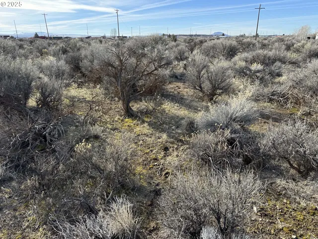 a view of a dry field