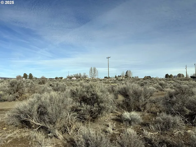 a view of a dry yard with mountains in the background