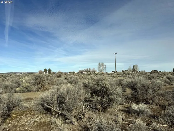 $6,000 | Hemlock Street, Unit TL500, Christmas Valley, OR 97641