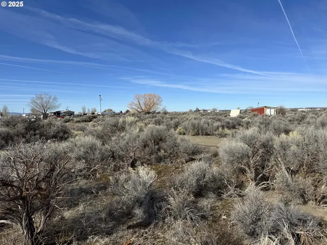 a view of a bunch of trees