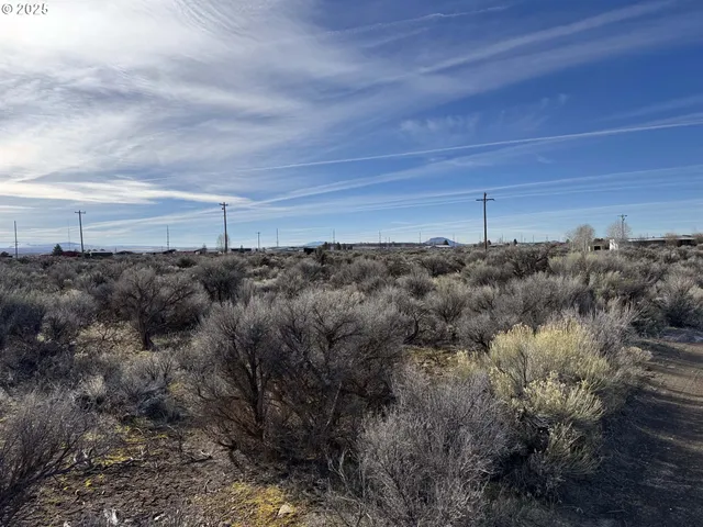 a view of a bunch of trees and bushes
