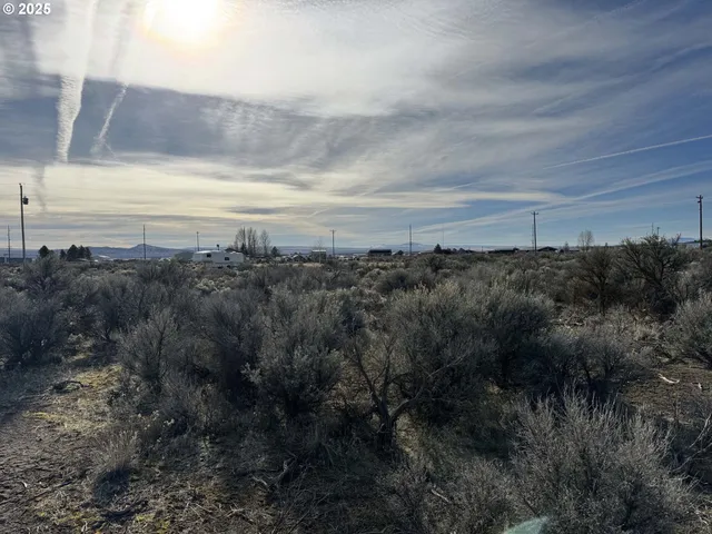 a view of a bunch of trees in a field